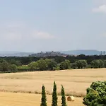 Verbena