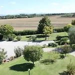 Verbena