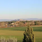 Verbena קאסטיגליונה דל לאגו