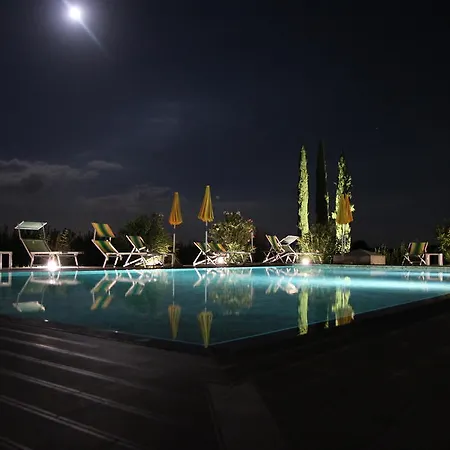 Verbena Кастильоне-дель-Лаго