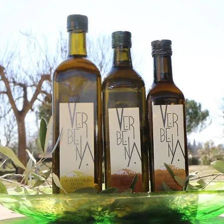 Verbena * קאסטיגליונה דל לאגו