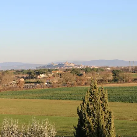 Verbena Castiglione del Lago
