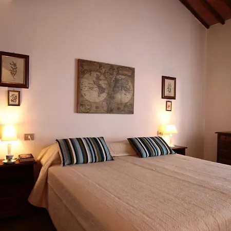 Verbena * Castiglione del Lago