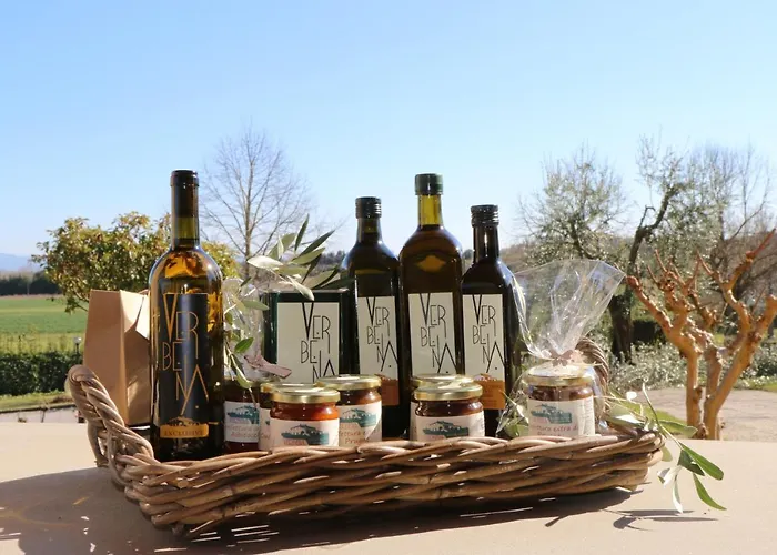 Verbena Фермерский дом *